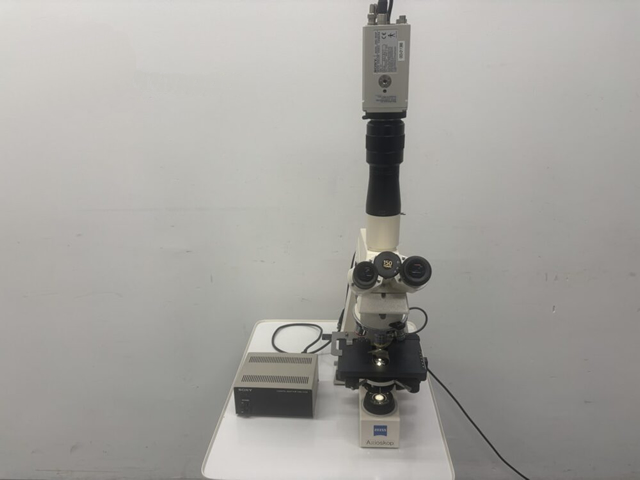 Zeiss Axioskop Microscope-image